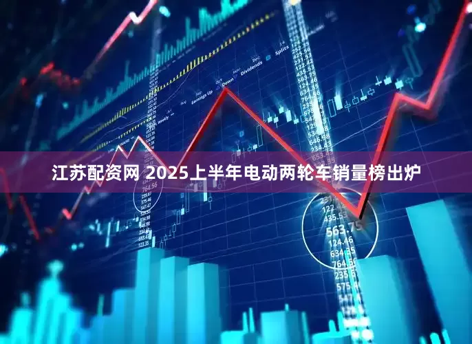 江苏配资网 2025上半年电动两轮车销量榜出炉