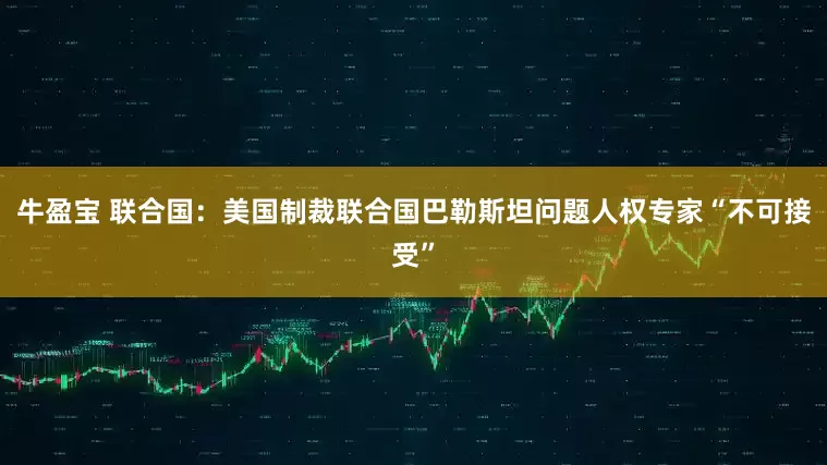 牛盈宝 联合国：美国制裁联合国巴勒斯坦问题人权专家“不可接受”