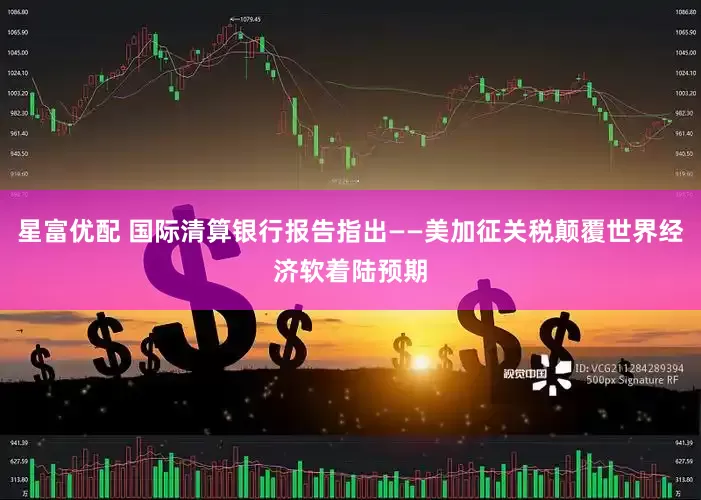 星富优配 国际清算银行报告指出——美加征关税颠覆世界经济软着陆预期