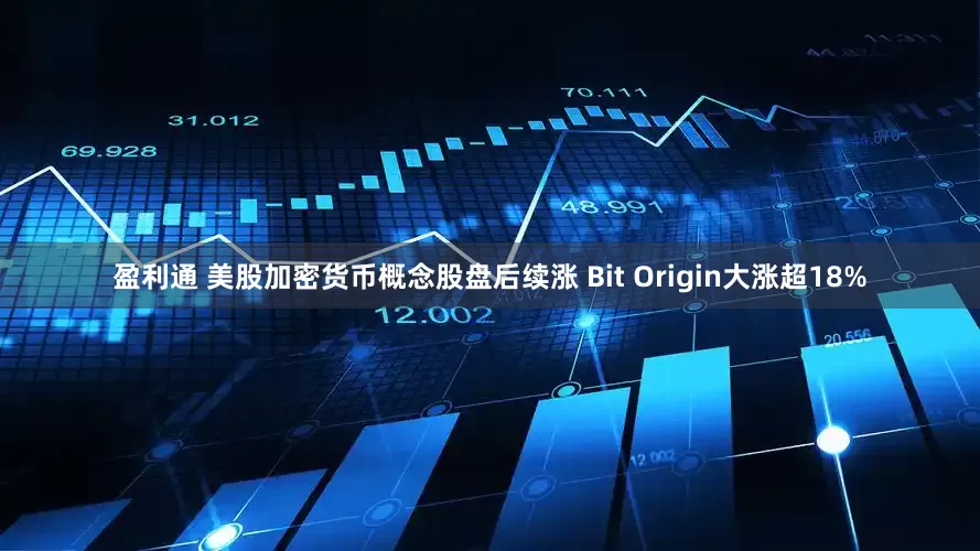 盈利通 美股加密货币概念股盘后续涨 Bit Origin大涨超18%
