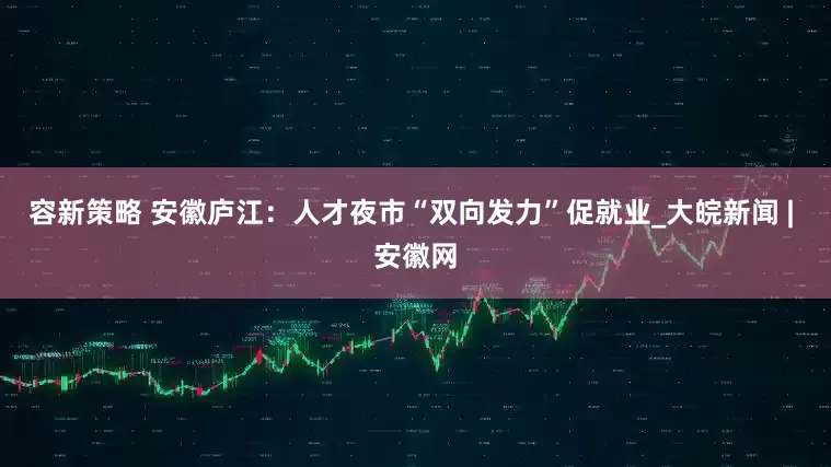 容新策略 安徽庐江：人才夜市“双向发力”促就业_大皖新闻 | 安徽网