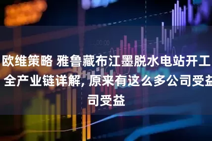 欧维策略 雅鲁藏布江墨脱水电站开工, 全产业链详解, 原来有这么多公司受益
