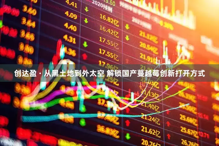 创达盈 · 从黑土地到外太空 解锁国产蔓越莓创新打开方式